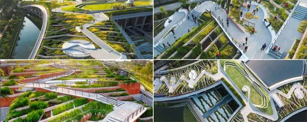 泰国曼谷政法大学”绿色的屋顶“(图6)
