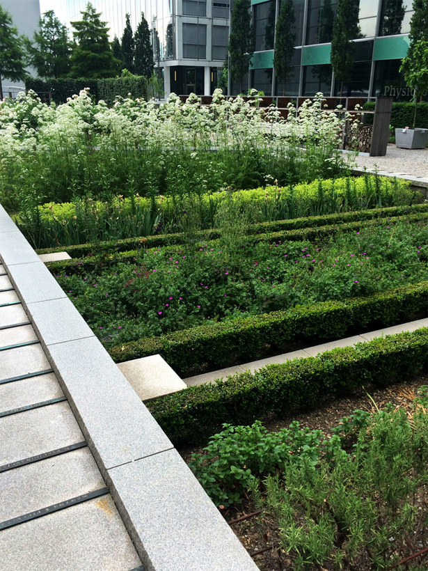 瑞士诺华制药公司药用植物园(图4)