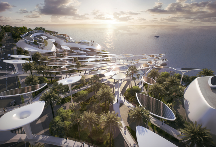 海洋天堂—马尔代夫临空经济区(图6)